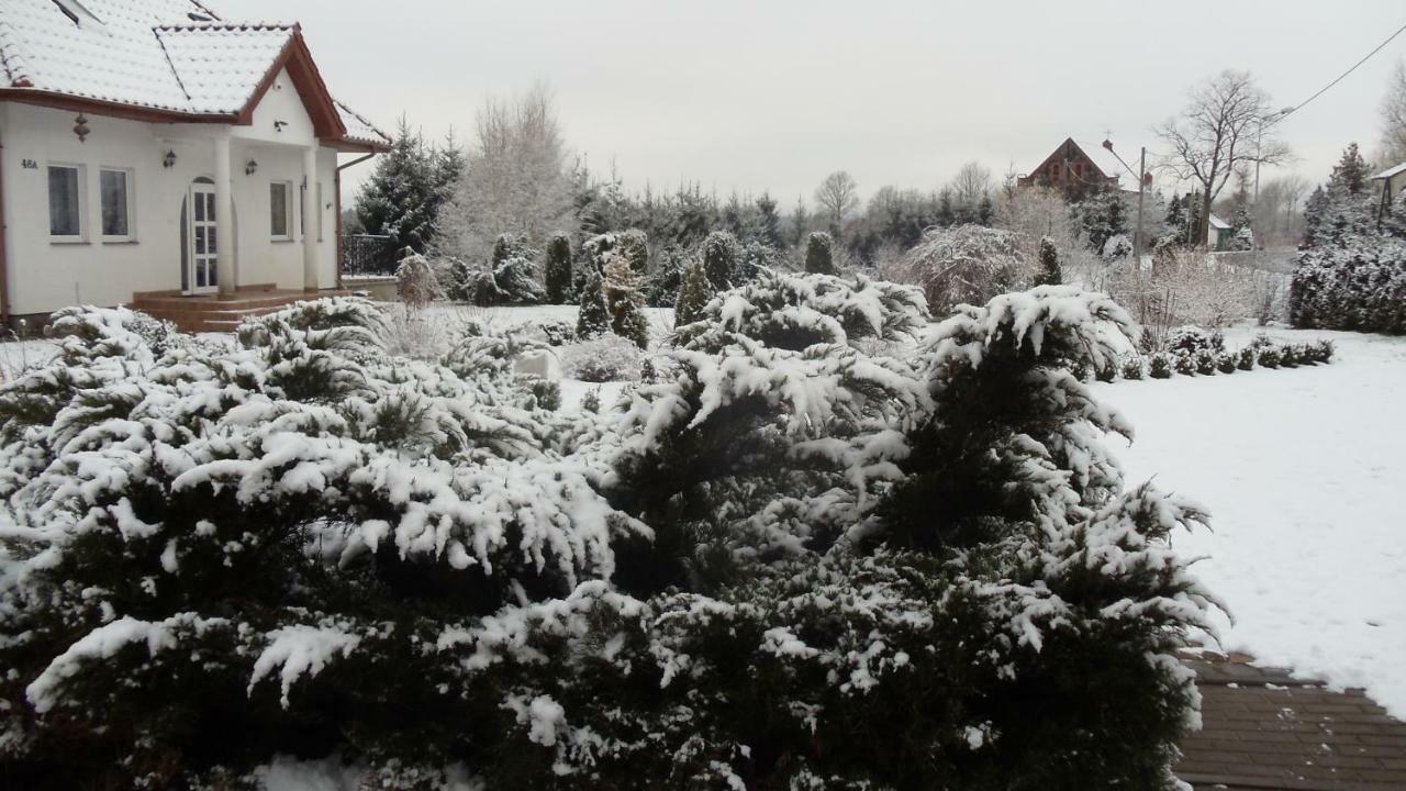 Agroturystyka 'Milena' Ostropole Extérieur photo